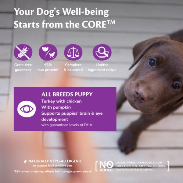 Wellness Core Puppy Original per Cuccioli Pollo con Tacchino con Zucca 400 gr Cibo Umido per Cuccioli