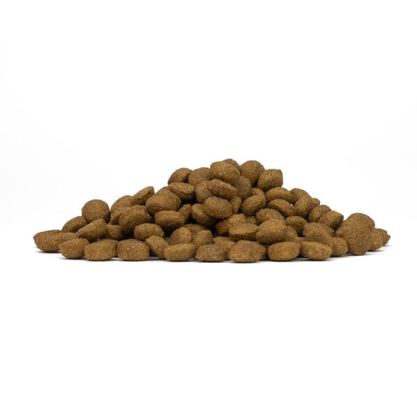 Forza 10 Intestinal Colon Fase 1 Mini e Toy Pesce per Cani Adulti 1,5 Kg