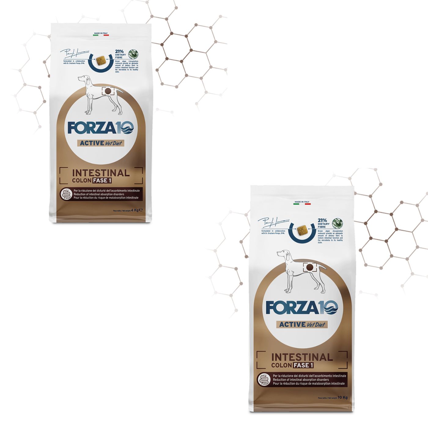 Forza 10 Intestinal Colon Fase 1 Pesce per Cani Adulti