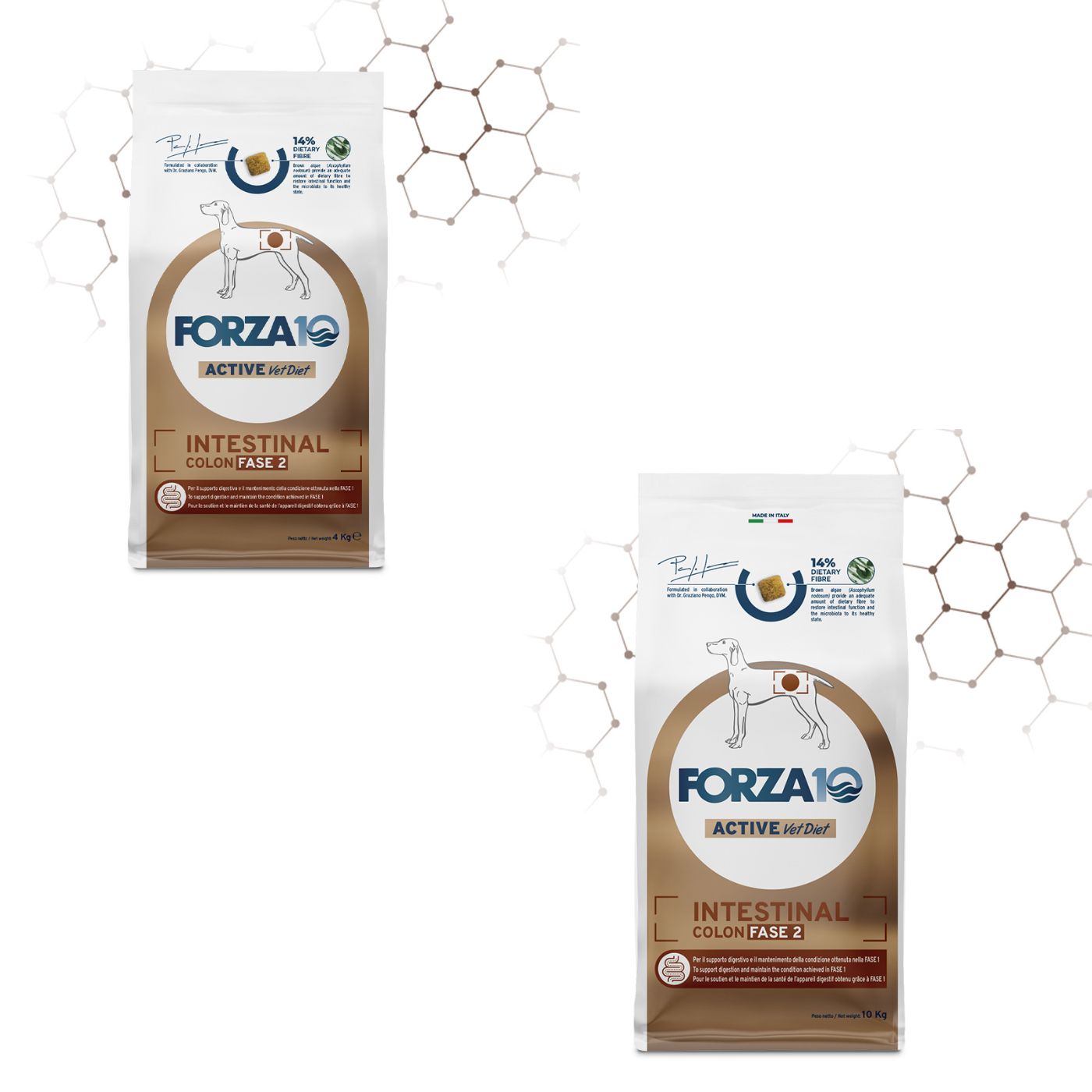 Forza 10 Intestinal Colon Fase 2 Active Pesce per Cani Adulti