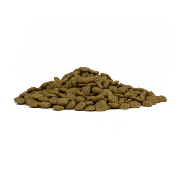 10 Kg - Forza 10 Intestinal Colon Fase 2 Active Pesce per Cani Adulti
