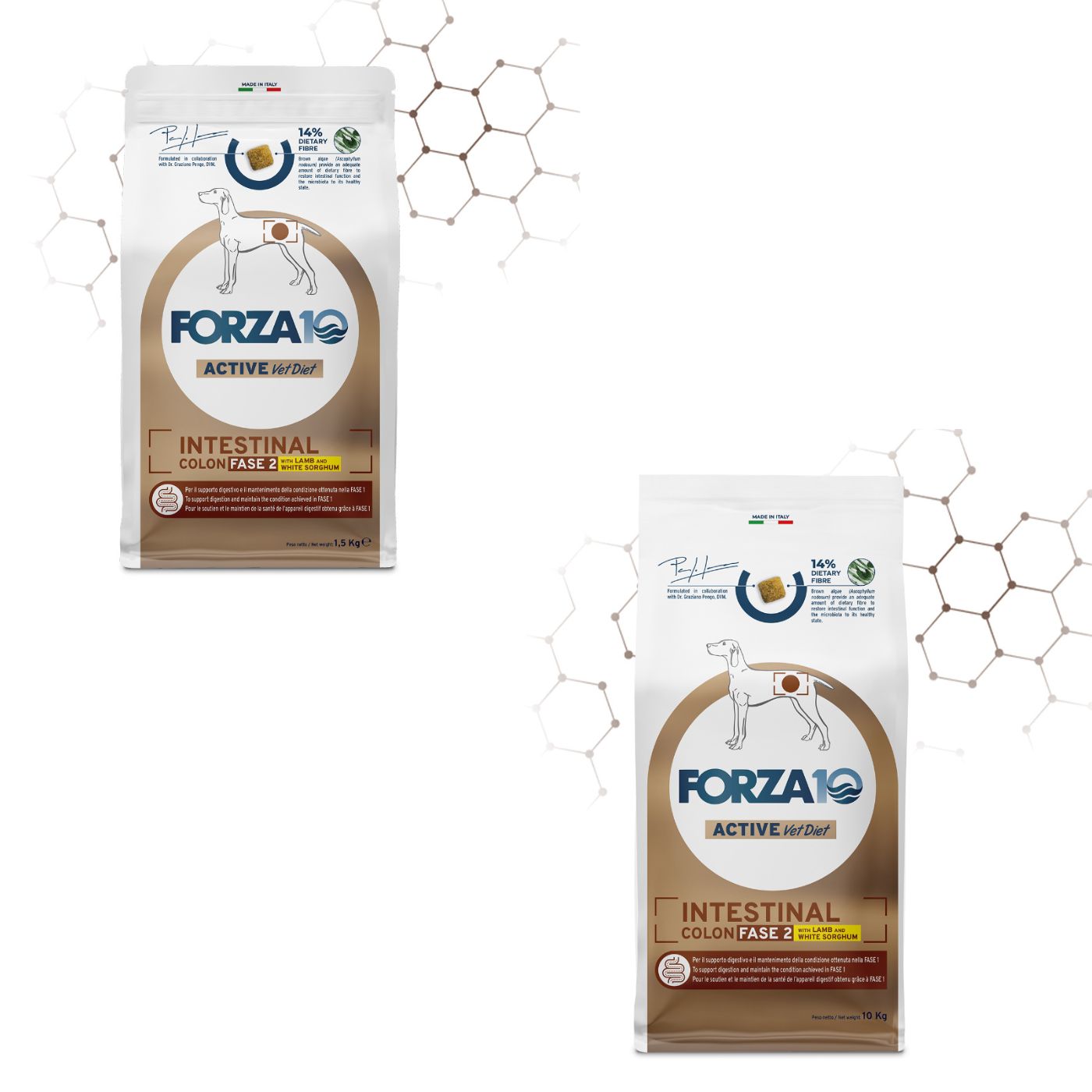 Forza 10 Intestinal Colon Fase 2 Agnello e Sorgo Bianco per Cani Adulti