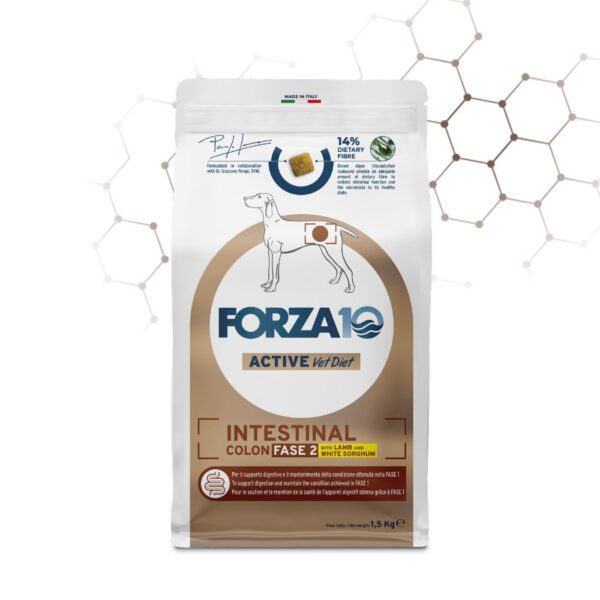 Forza 10 Intestinal Colon Fase 2 Agnello e Sorgo Bianco per Cani Adulti