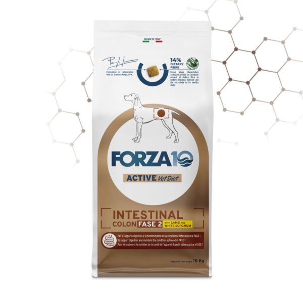 Forza 10 Intestinal Colon Fase 2 Agnello e Sorgo Bianco per Cani Adulti