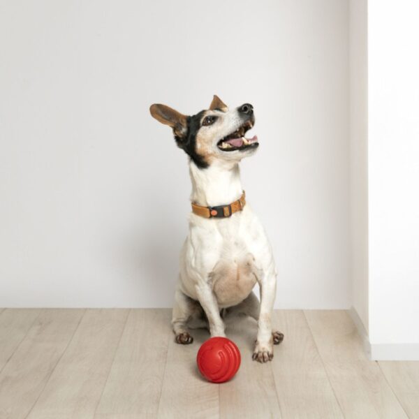 Bama Pet Palla Riga Gioco per Cani