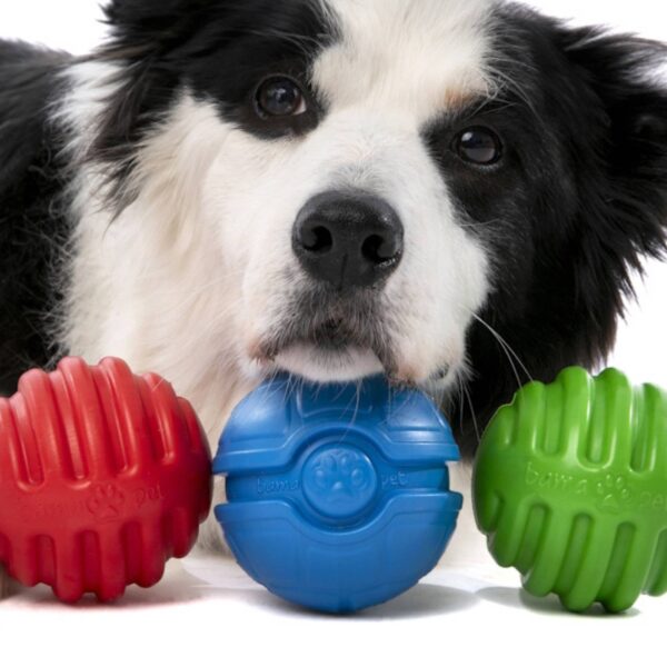 Bama Pet Palla Riga Gioco per Cani