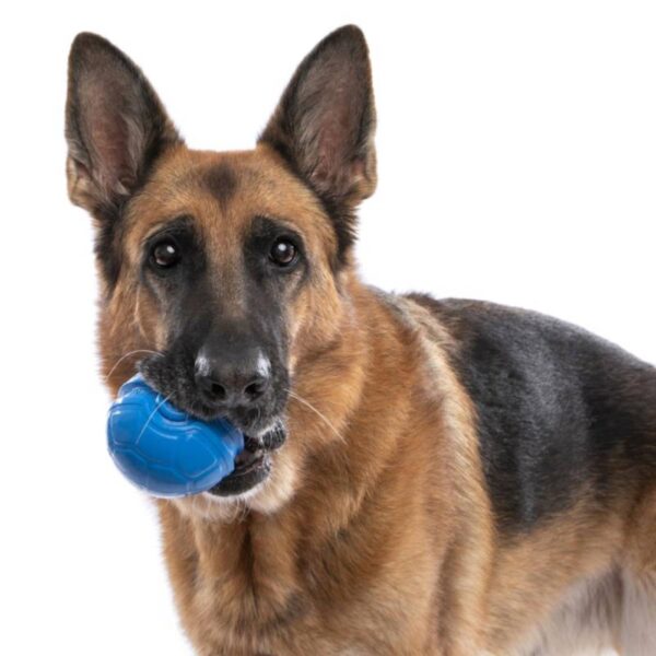 Bama Pet Palla Ruga Gioco per Cani