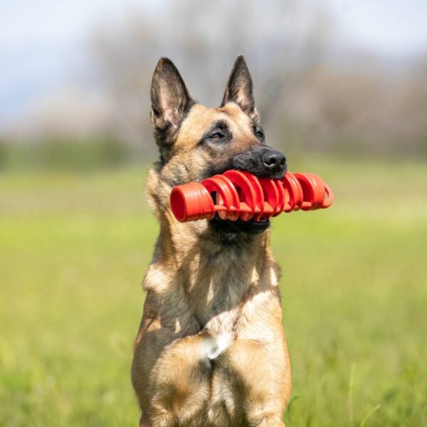 Bama Pet Tira & Molla Mini Gioco per Cani