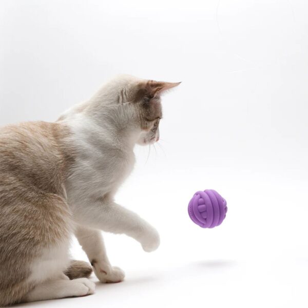 CDSG Gioco per Gatti Palla per Dolcetti