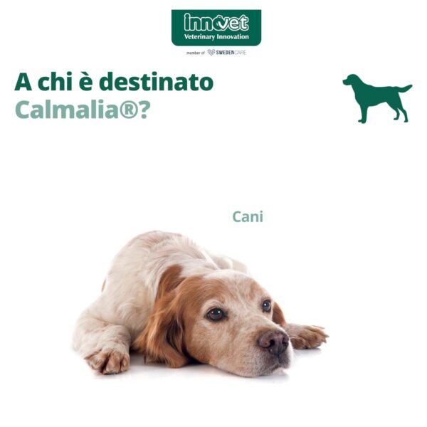 Calmalia per Cani 30 Soft Chews Innovet