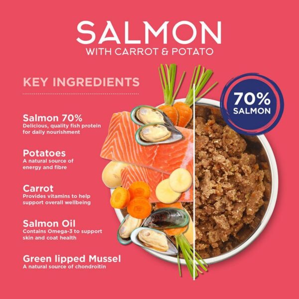 Fish4Dogs Finest Complete Umido Salmone con Carota e Patata per Cani Adulti 395 g