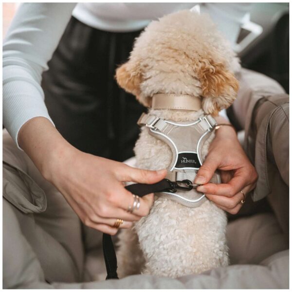 Hunter Seggiolino Auto e Lettino da Viaggio per Cani 2 in 1 Seoul