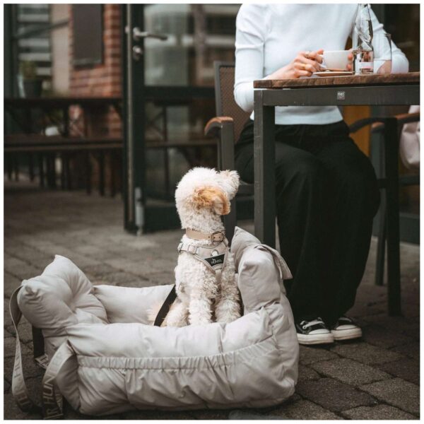 Hunter Seggiolino Auto e Lettino da Viaggio per Cani 2 in 1 Seoul