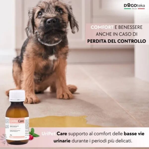 Dogoteka UriPet Care 50 gr