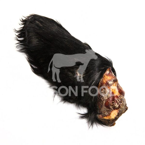 Fasson Food Orecchio Bovino Singolo CON Pelo Snack Naturale per Cani