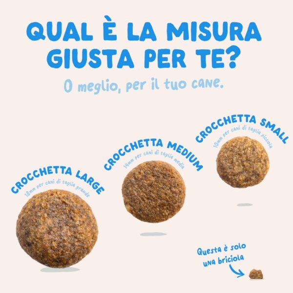 Edgard & Cooper Salmone Norvegese per Cani Adulti