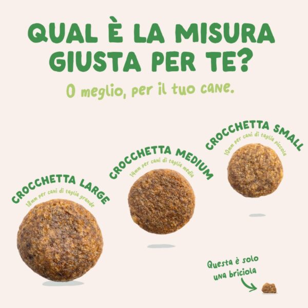 Edgard & Cooper Agnello per Cani Adulti