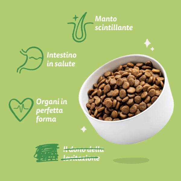 Edgard & Cooper Agnello per Cani Adulti