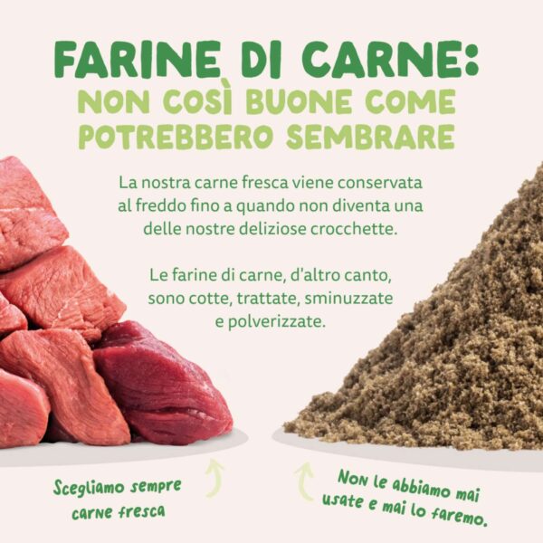 Edgard & Cooper Agnello per Cani Adulti
