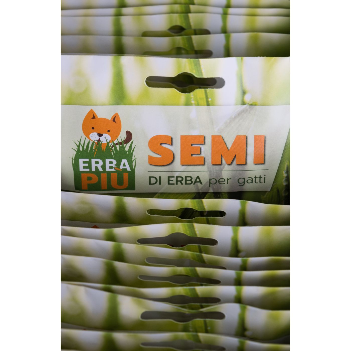 Erba Piu' Erba Gatta Bustine di Semi di Erba per Gatti