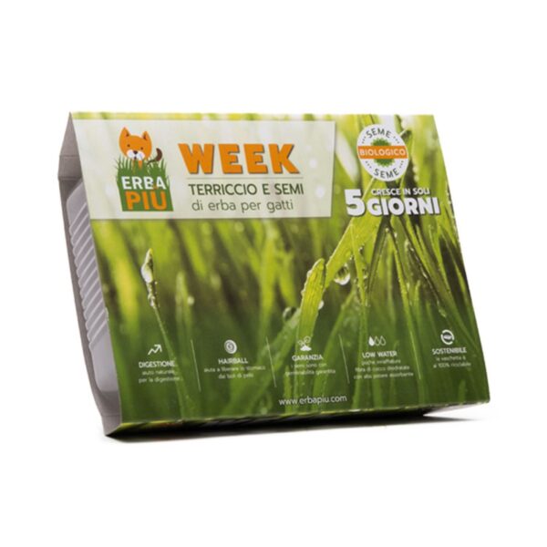 Erba Piu' Erba Gatta Week Kit di Terriccio e Semi di Erba per Gatti
