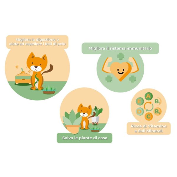 Erba Piu' Erba Gatta Week Kit di Terriccio e Semi di Erba per Gatti