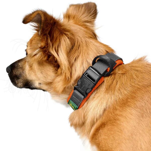 Hunter Collare per Cani Regolabile Maldon Arancione/Grigio Riflettente