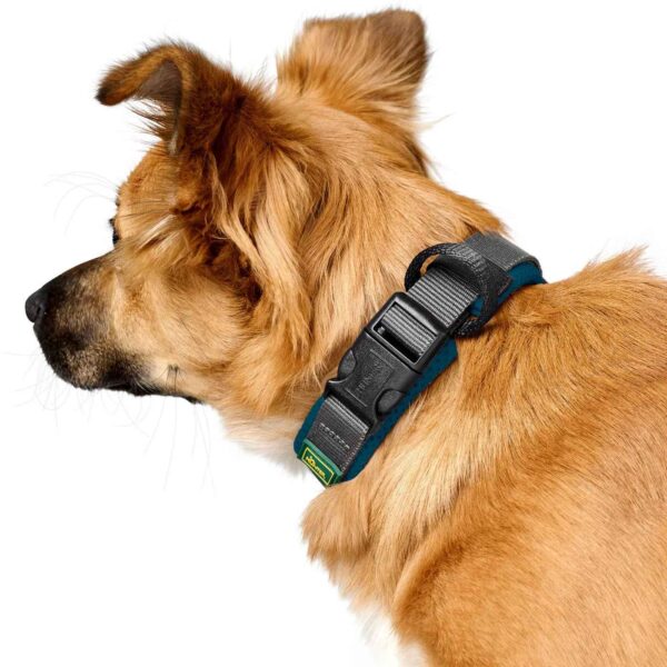 Hunter Collare per Cani Regolabile Maldon Petrolio/Grigio Riflettente
