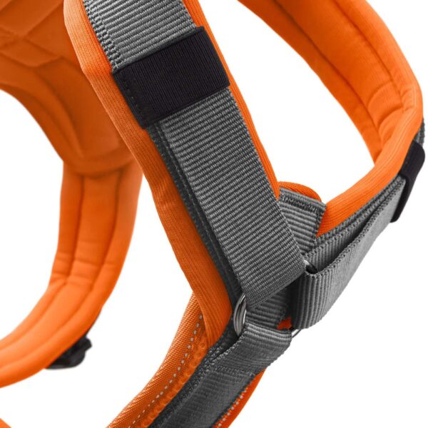 Hunter Pettorina per Cani Maldon Up Arancione/Grigio Riflettente