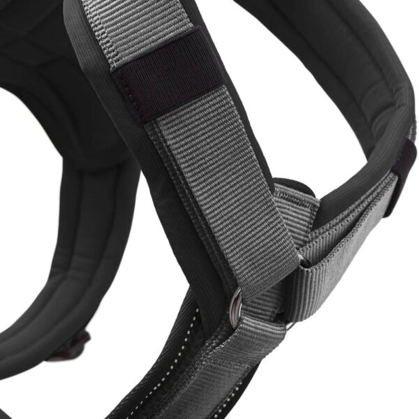 Hunter Pettorina per Cani Maldon Up Nero/Grigio Riflettente