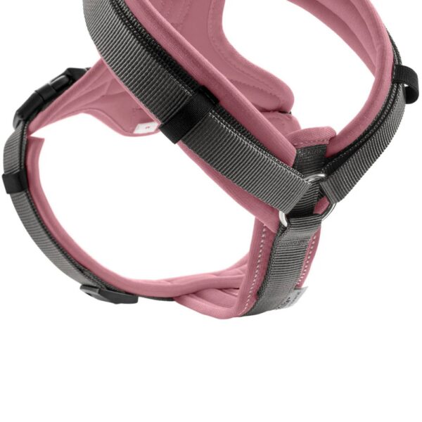 Hunter Pettorina per Cani Maldon Up Rosa Antico/Grigio Riflettente