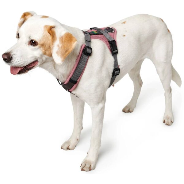 Hunter Pettorina per Cani Maldon Up Rosa Antico/Grigio Riflettente