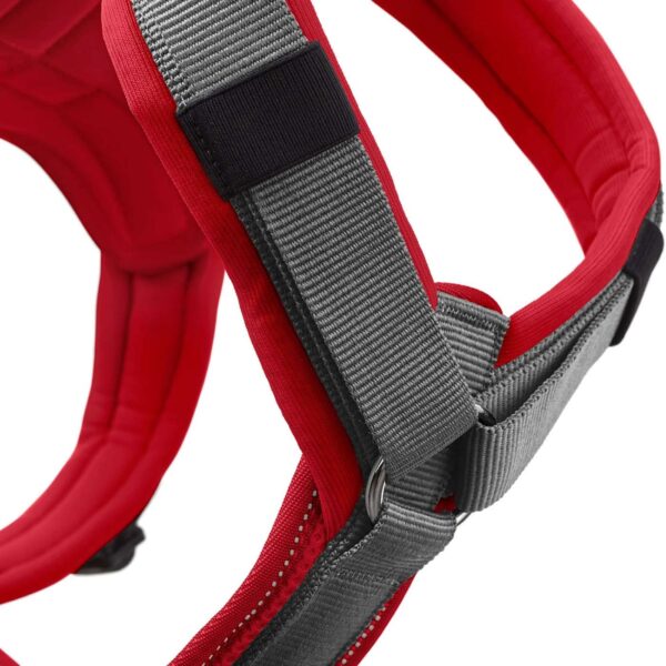 Hunter Pettorina per Cani Maldon Up Rosso/Grigio Riflettente