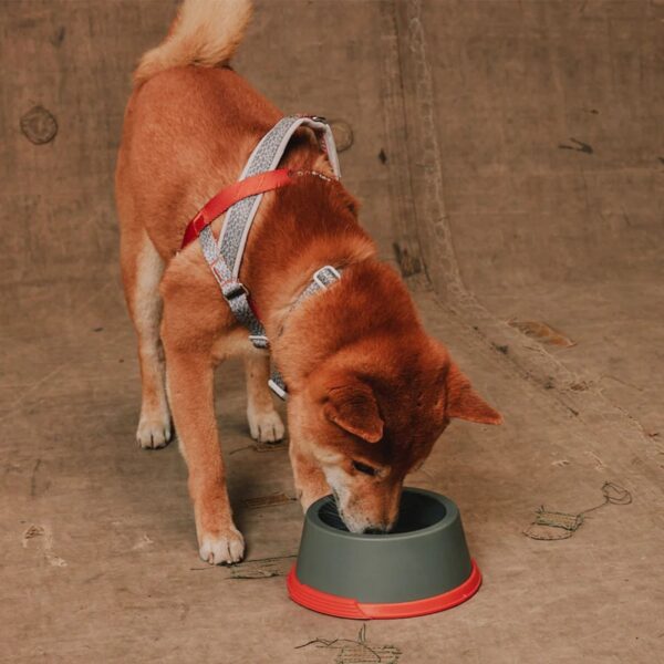 Zee.Dog Ciotola Piccola per Cani in Melamina Reebok Suede