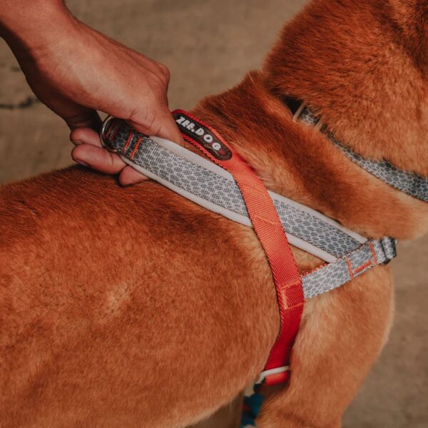 Zee.Dog Pettorina Norvegese Softer-Walk per Cani Reebok Suede