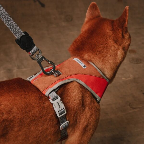 Zee.Dog Pettorina Regolabile Air Mesh per Cani Reebok Suede