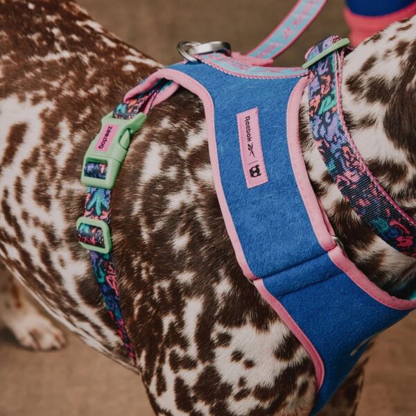 Zee.Dog Pettorina Regolabile Air Mesh per Cani Reebok Aerobic