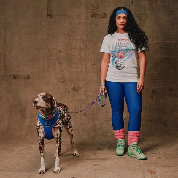 Zee.Dog Pettorina Regolabile Air Mesh per Cani Reebok Aerobic