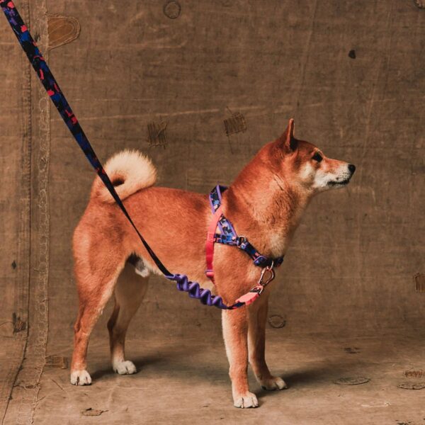 Zee.Dog Pettorina Norvegese Softer-Walk per Cani Reebok Court
