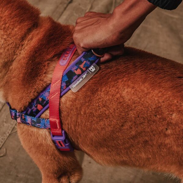 Zee.Dog Pettorina Norvegese Softer-Walk per Cani Reebok Court