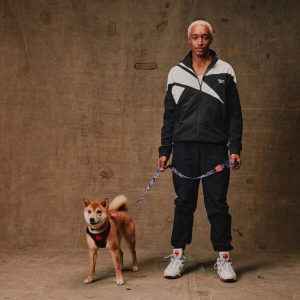 Zee.Dog Pettorina Regolabile Air Mesh per Cani Reebok Court