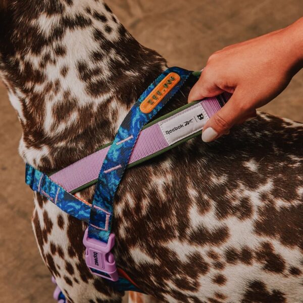 Zee.Dog Pettorina Norvegese Softer-Walk per Cani Reebok Trekk