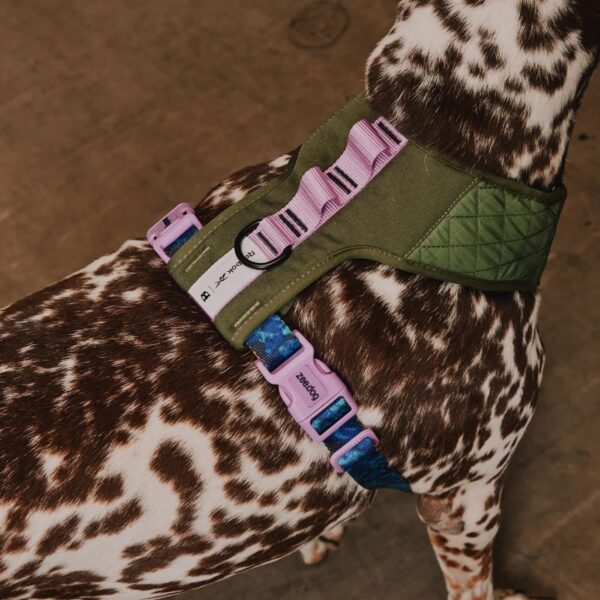Zee.Dog Pettorina Regolabile Air Mesh per Cani Reebok Trekk