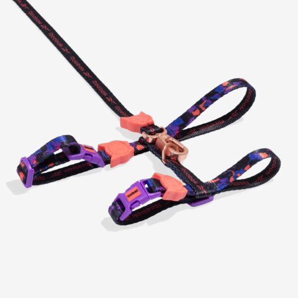 Zee.Cat Set Pettorina e Guinzaglio per Gatti Reebok Court
