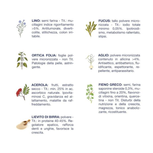 Vet Line Crescita Pollo e Patate Umido Monoproteico per Cuccioli 400 g