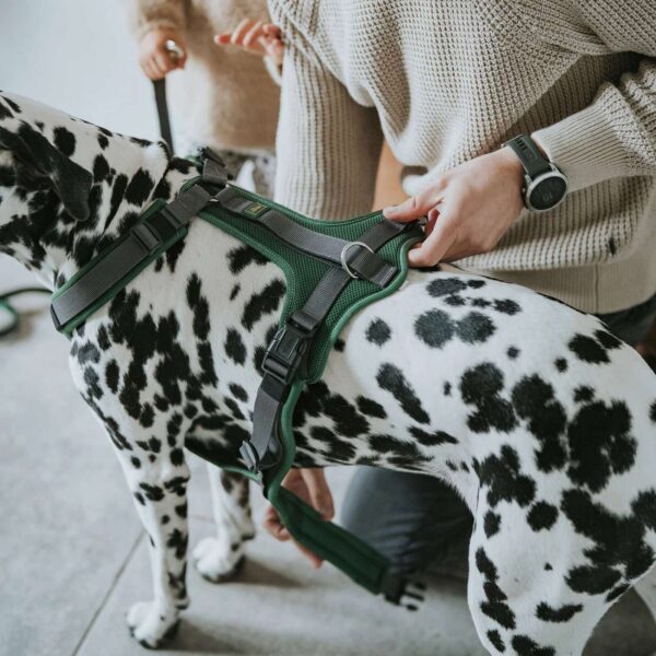 hunter pettorina per cani maldon up verde scuro/grigio riflettente