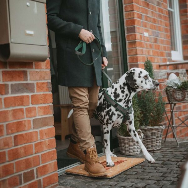 hunter pettorina per cani maldon up verde scuro/grigio riflettente