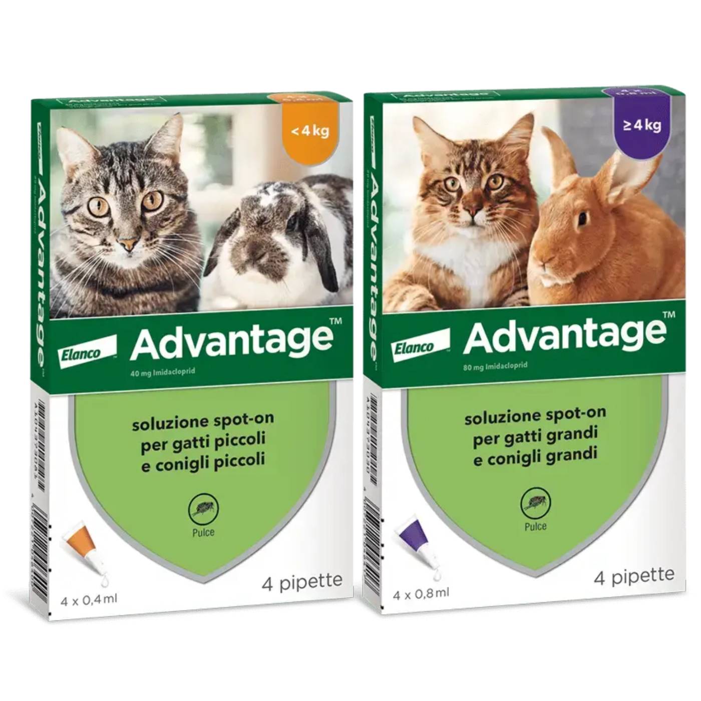 Advantage Spot On Antiparassitario per Gatti e Conigli 4 Pipette