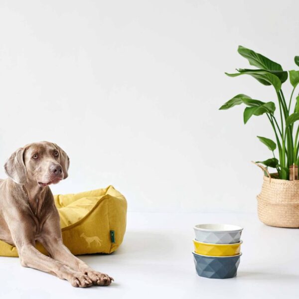 Hunter Divano per Cani Sofa Eiby Giallo
