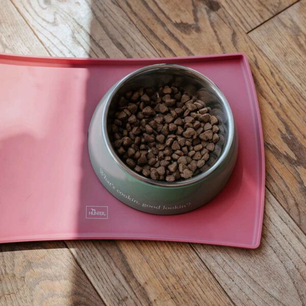Hunter Sottociotole per Cani e Gatti Chester in Silicone Rosa 48 x 30 cm